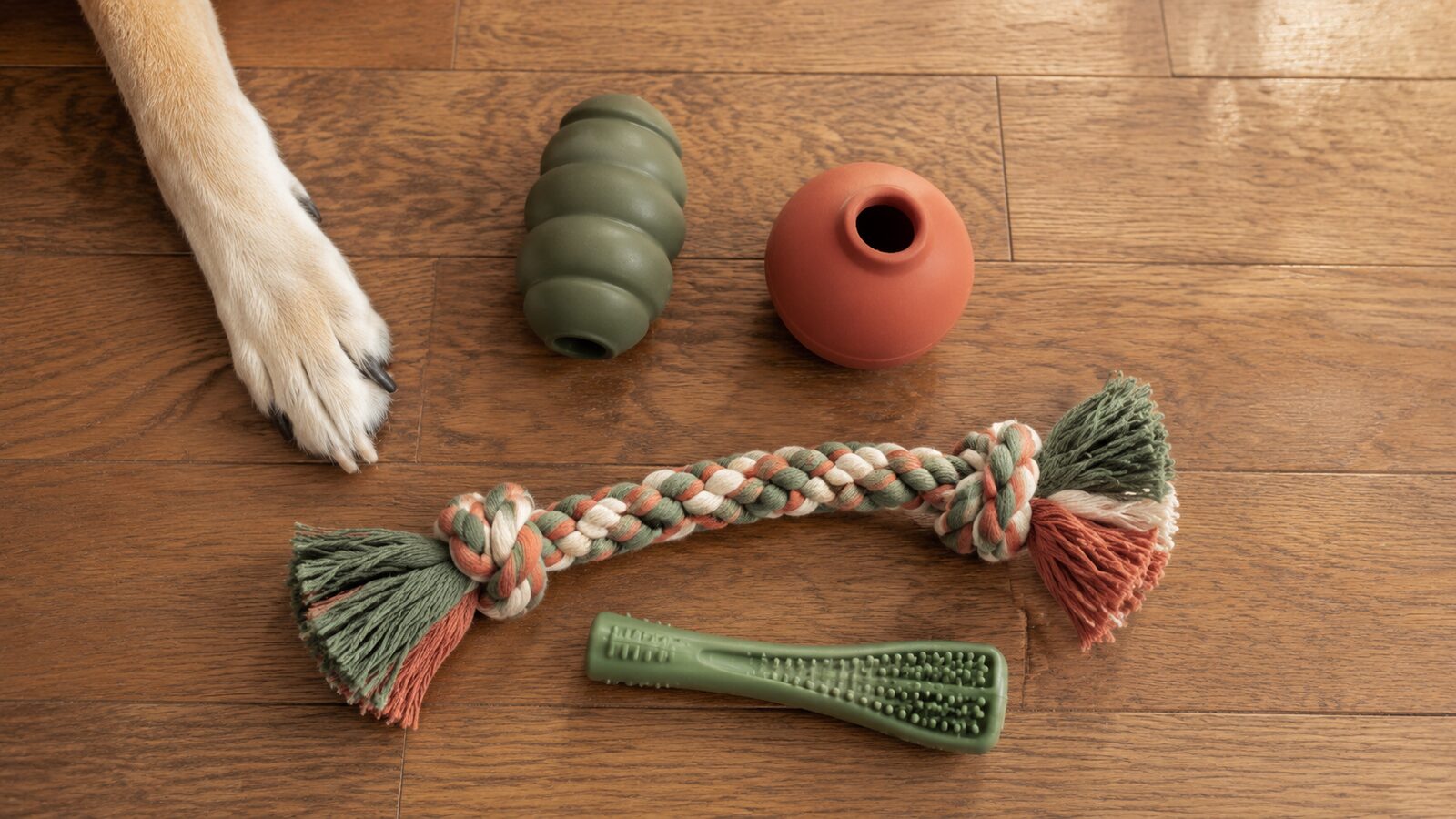 Chews and Chew Toys: How to Choose Safely