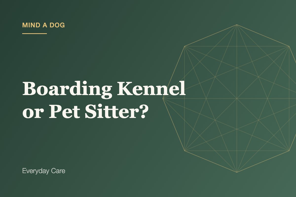 Kennel or Pet Sitter? How to Make the Right, Safe Choice